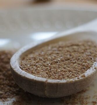 comida y animales transgenicos